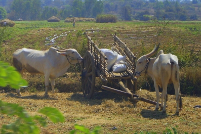 photo 674826