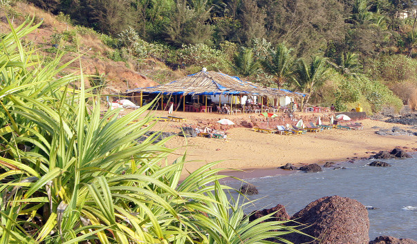 DSC01838