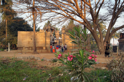 photo 730683