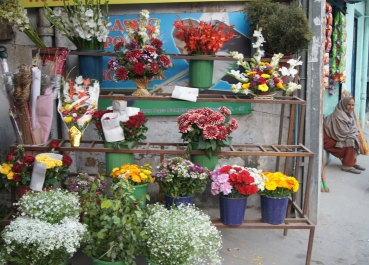 photo 676950