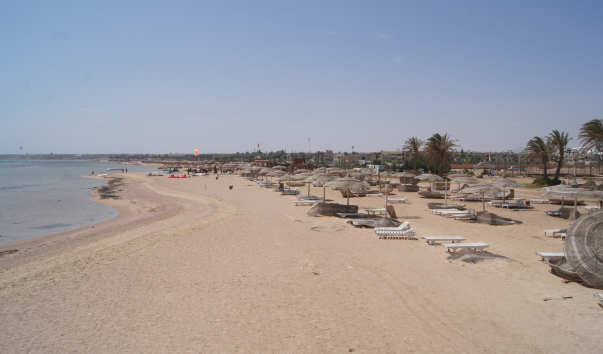 DSC01259