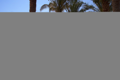 photo 1176609