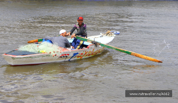 photo 1116107