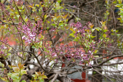 photo 1457273