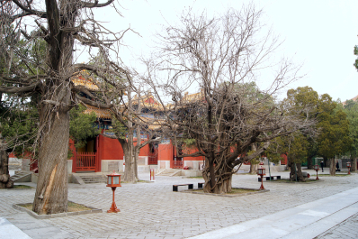 photo 1459339