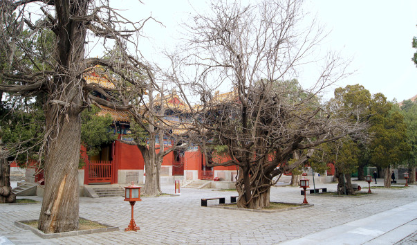 DSC09157
