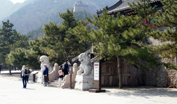 DSC08435