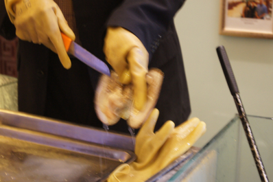 photo 1461744