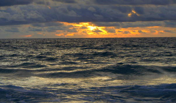 DSC08466