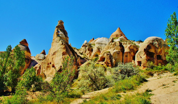  Gulludere (11)