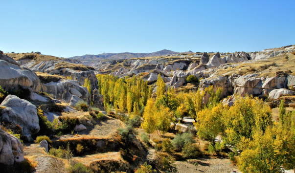 Zemi Valley (31)