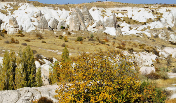 Zemi Valley (22)