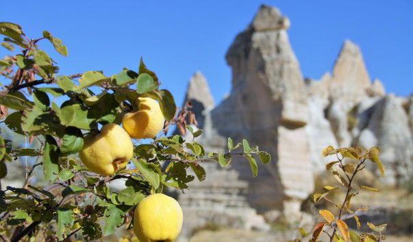 Zemi Valley (7)