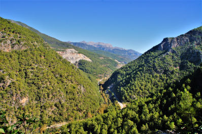 photo 1638521