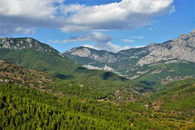 photo 1638987