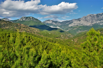 photo 1638989