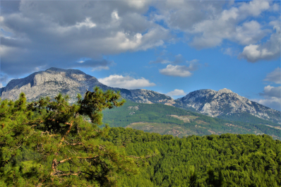 photo 1641193