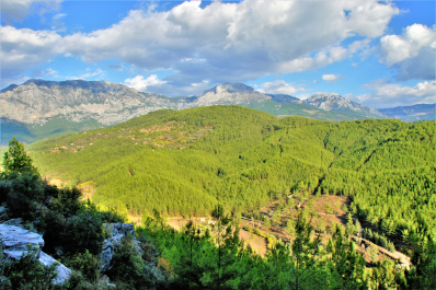 photo 1641445