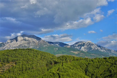 photo 1641587