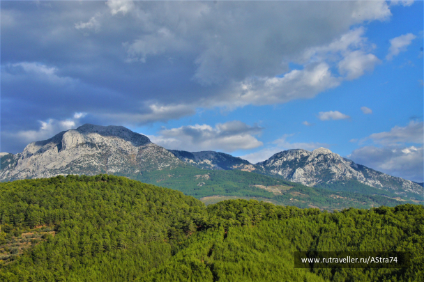 photo 1641587