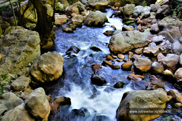 photo 1742074