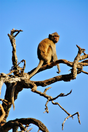 photo 1645344