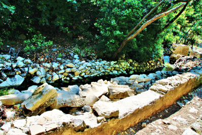 photo 1665941