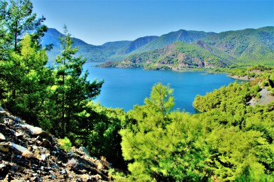photo 1727373