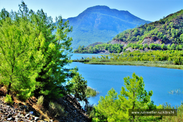 photo 1735458