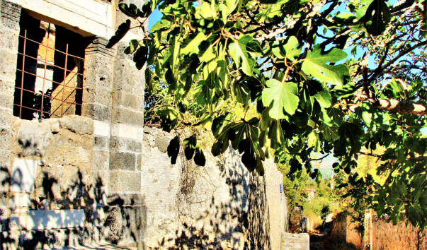 ����� (Kayakoy) (9)