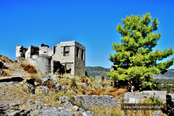photo 1752723