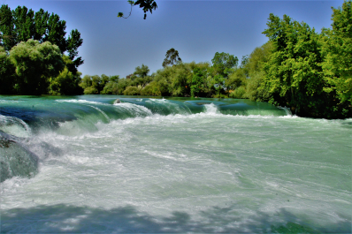 photo 1778543
