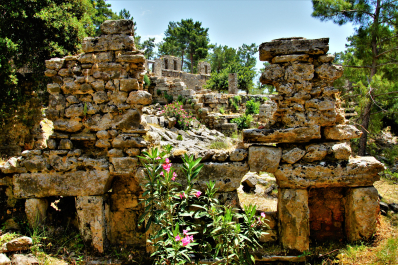 photo 1787164