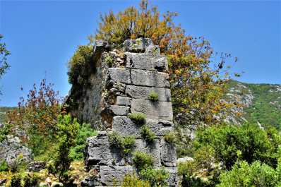 photo 1783345