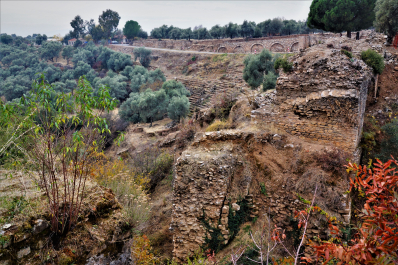 photo 1881776