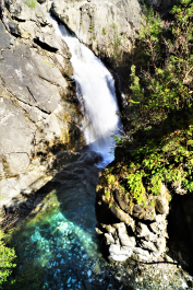 photo 1862881