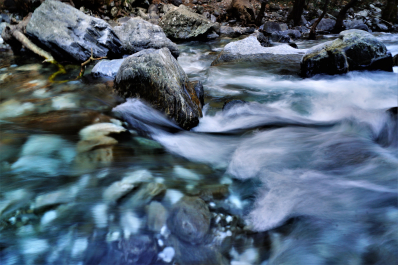photo 1865919