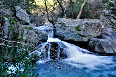 photo 1869709