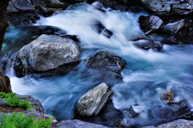 photo 1872819