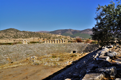 photo 1865727