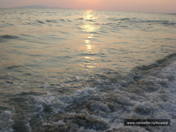 photo 371513