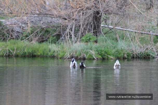 photo 1627537