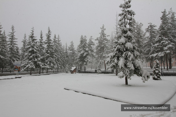 photo 1627539
