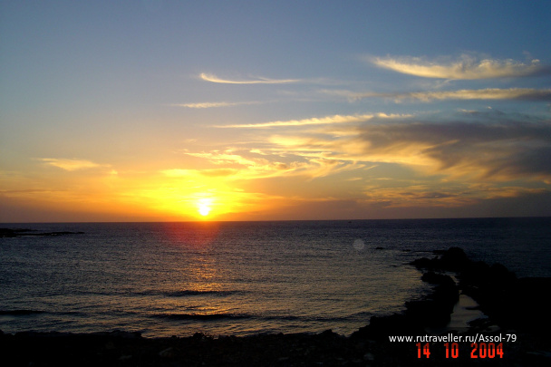 photo 319454