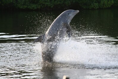 photo 322542