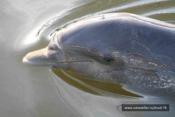 photo 322543
