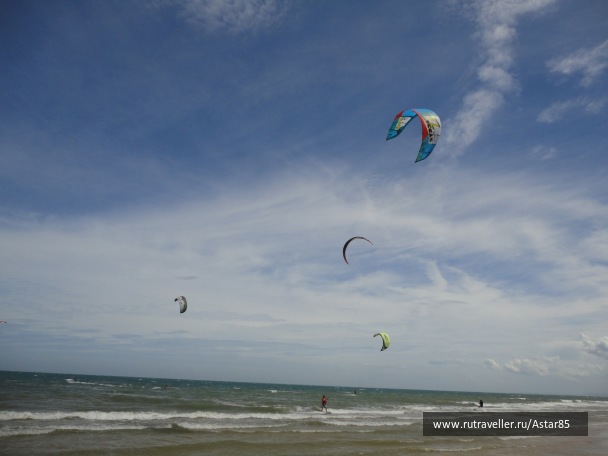 photo 377891
