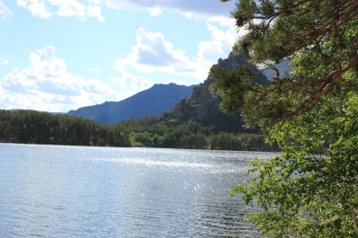 photo 377973