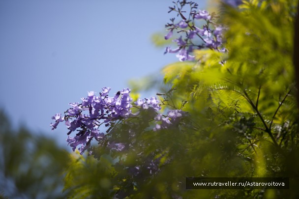 photo 774087