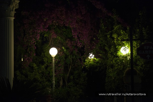 photo 774095